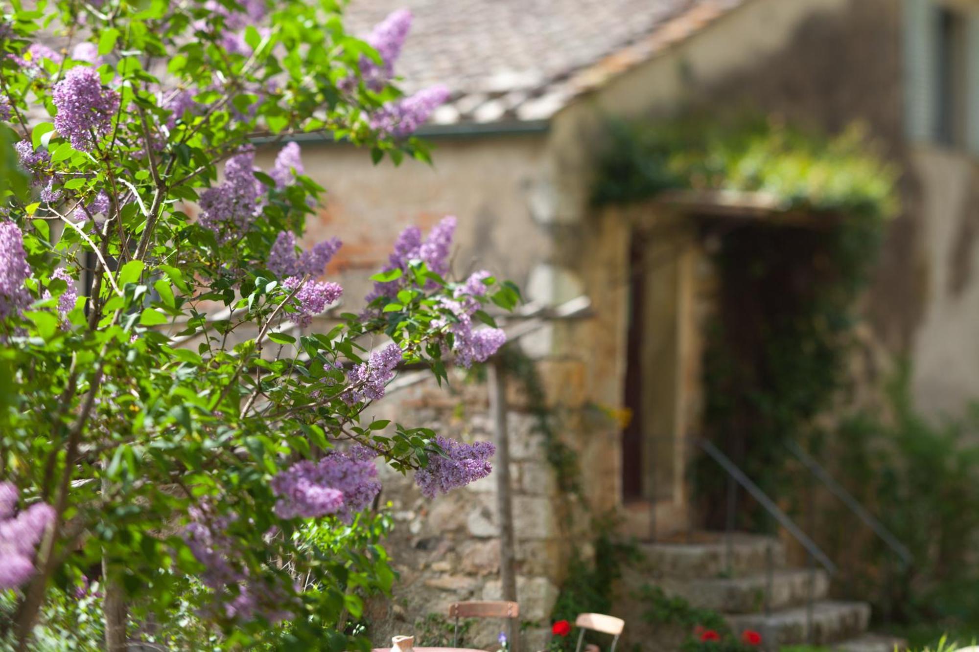Tenuta Di Spannocchia Rosia Bagian luar foto